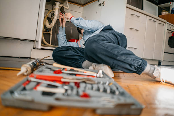 Best Drain Cleaning Services  in Grosse Pointe Park, MI